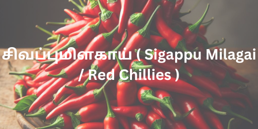 சிவப்புமிளகாய் ( Sigappu Milagai / Red Chillies )