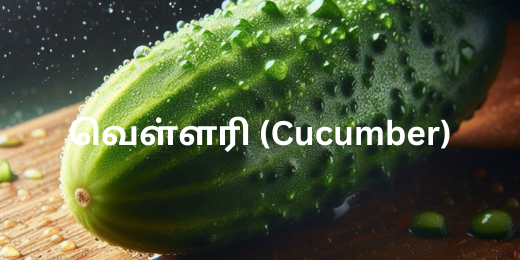 வெள்ளரி (Cucumber)+வெள்ளரியின் நன்மைகள்