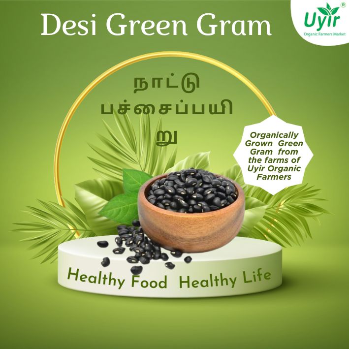 Desi Green Gram 500gm / நாட்டு பச்சைப்பயிறு