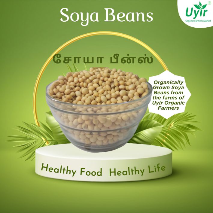 Soya Beans 250gm  / சோயா பீன்ஸ்