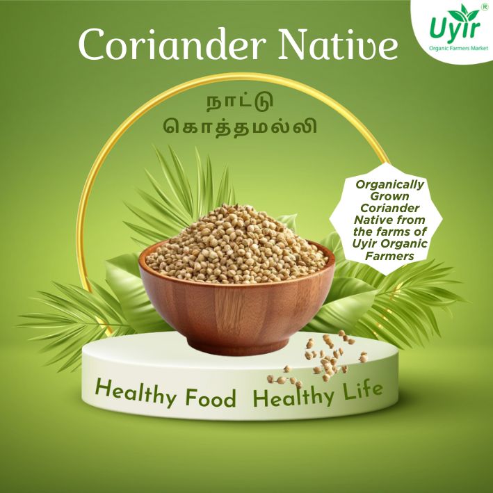 Coriander Native 250gm  / நாட்டு கொத்தமல்லி