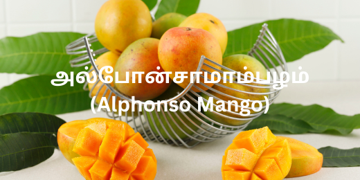 அல்போன்சா மாம்பழம் (Alphonso Mango)