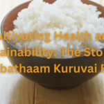 Cultivating Health and Sustainability The Story of Arubathaam Kuruvai Rice + Arubathaam Kuruvai rice benefits