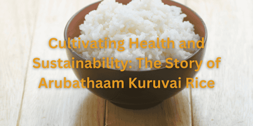 Cultivating Health and Sustainability The Story of Arubathaam Kuruvai Rice + Arubathaam Kuruvai rice benefits