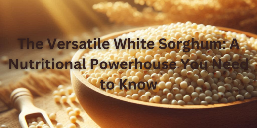 The Versatile White Sorghum A Nutritional Powerhouse You Need to Know+White Sorghum health benefits