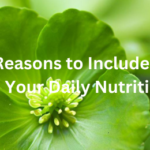 Top 5 Reasons to Include Vallari Soup in Your Daily Nutrition Plan + Vallari soup benefits