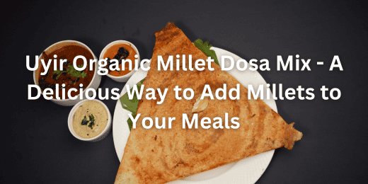 Uyir Organic Millet Dosa Mix - A Delicious Way to Add Millets to Your Meals + Uyir organic Millet Dosa mix