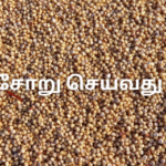 சோள சோறு செய்வது எப்படி?