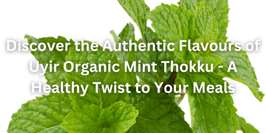 Discover the Authentic Flavours of Uyir Organic Mint Thokku - A Healthy Twist to Your Meals