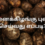 சேனைக்கிழங்கு புலாவ் செய்வது எப்படி?