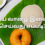 தேங்காய் வாழை இலை இட்லி செய்வது எப்படி?