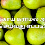 பேரிக்காய் கராமல் அல்வா செய்வது எப்படி?